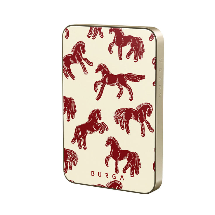 CB_08MS_MagPbank5K-GO