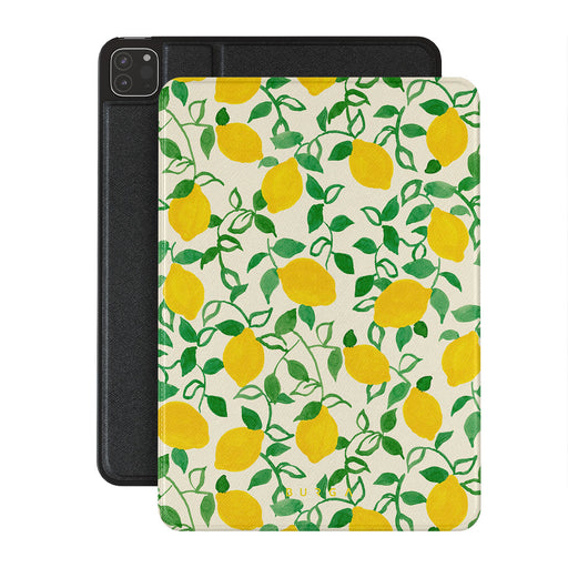 CM_15IP_iPAD_PRO_12.9