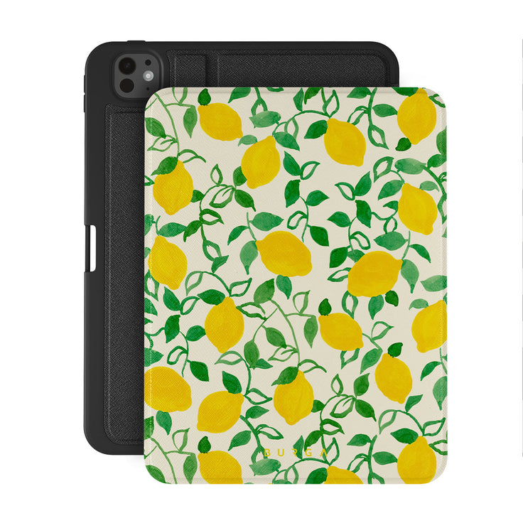 CM_15IP_iPAD_PRO_11_2024