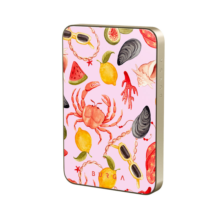 CM_16MS_MagPbank5K-GO