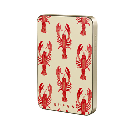 CM_18MS_MagPbank5K-GO