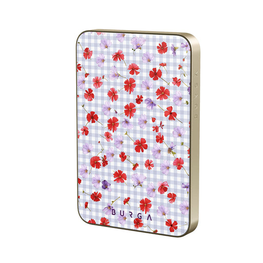 CP_11MS_MagPbank5K-GO