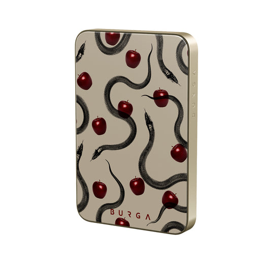 DE_10MS_MagPbank5K-GO