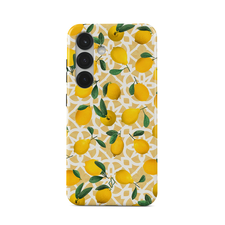 LL_01_S25PL_TH-magnetic