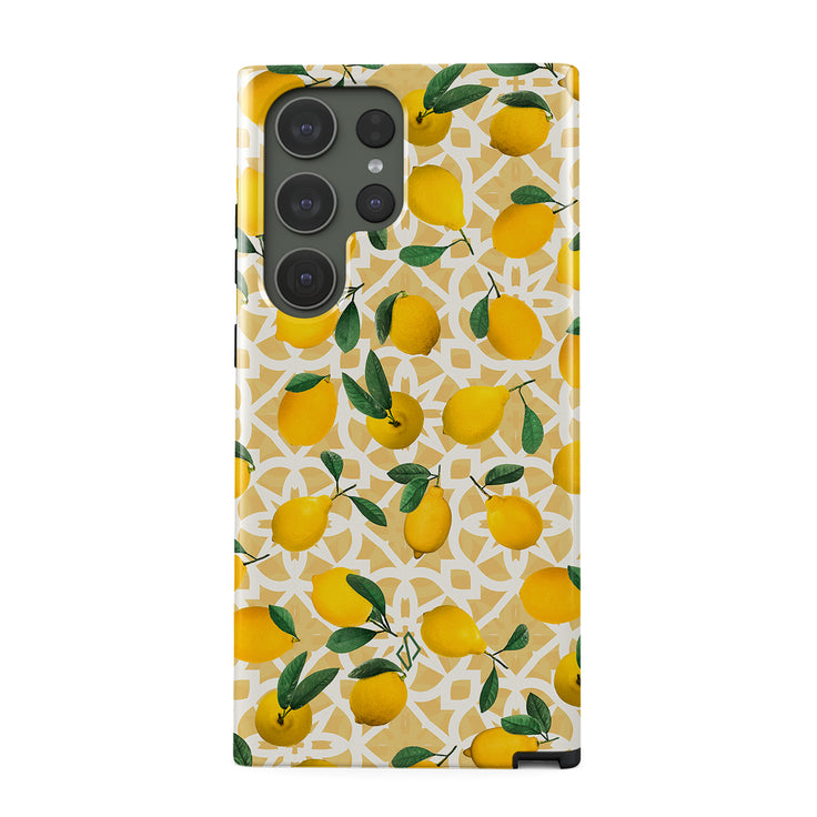 LL_01_S23ultra_TH-magnetic