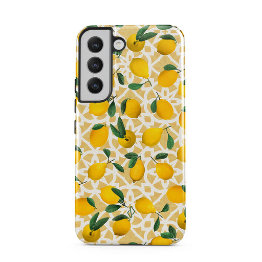 LL_01_S22_TH-magnetic