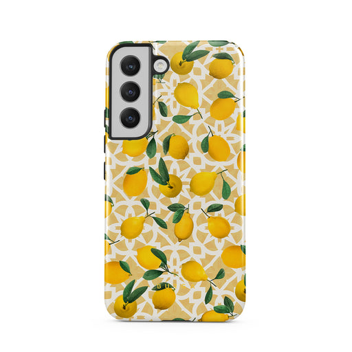 LL_01_S22_TH-magnetic