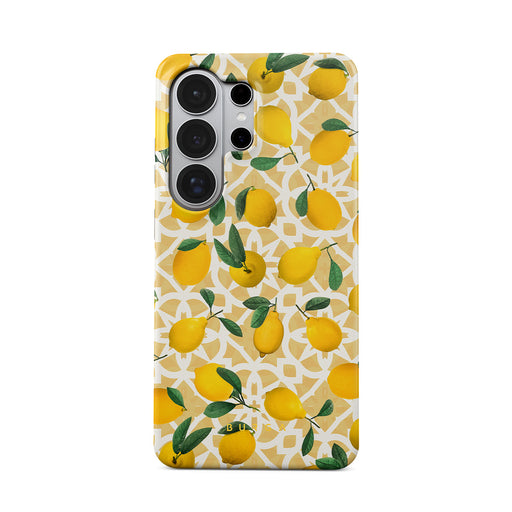 LL_01_S26ultra_TH-magnetic