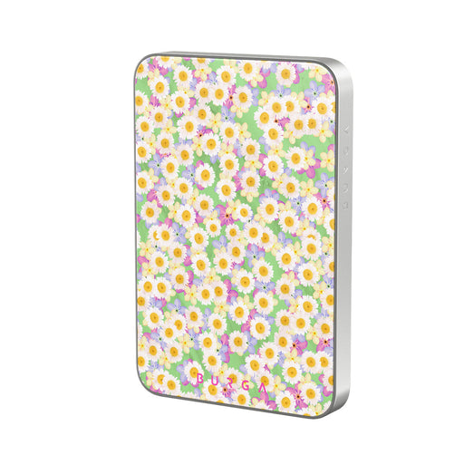 RL_04MS_MagPbank5K-SI