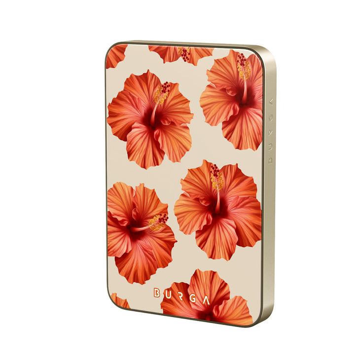 RS_10MS_MagPbank5K-GO