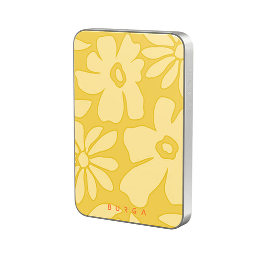 RS_19MS_MagPbank5K-SI